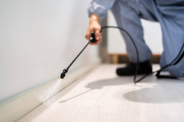 Licensed Fumigation Services service in Panola County County, MS - Nex Pest Control